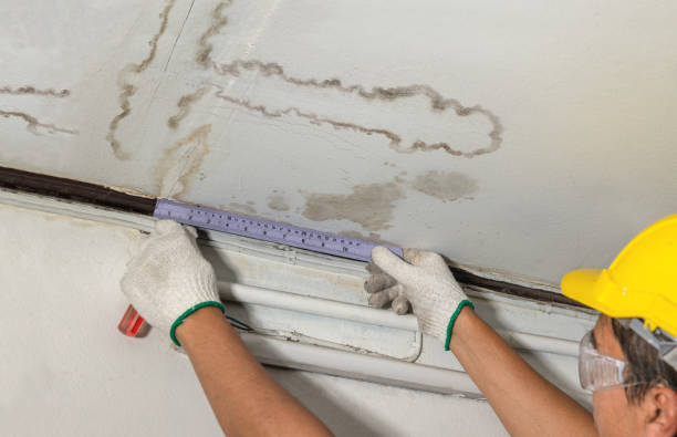 Reliable Burst Pipe Cleanup contractor in Inkster, MI by Water Damage Irwin